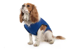 Ancol Dog Cooling Coat