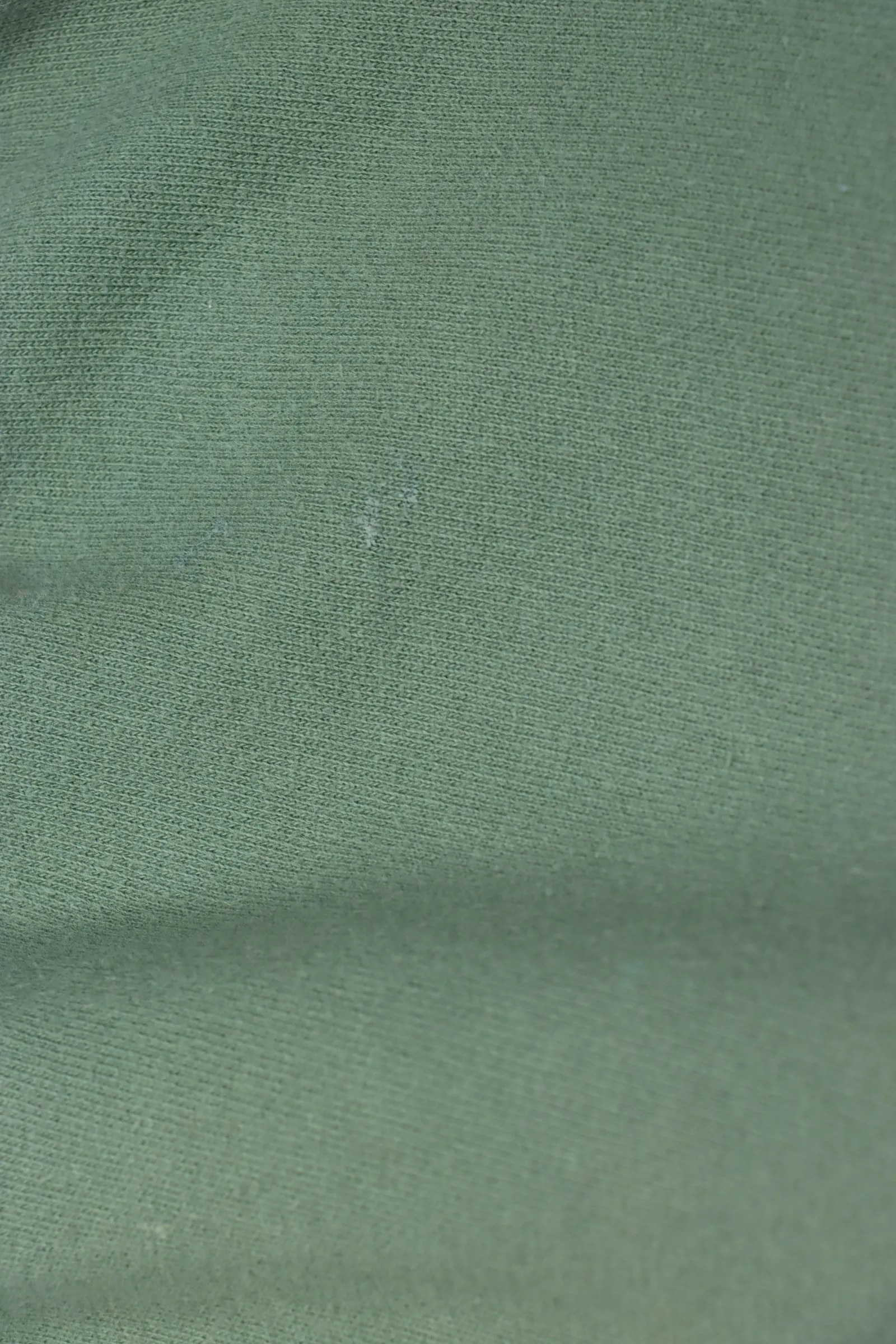 CHAPS RALPH LAUREN Green Embroidered Sweatshirt (XXL)