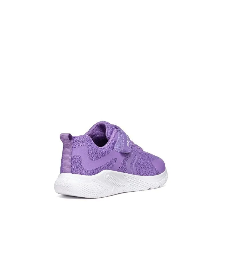 Geox Girls Purple Mesh Casual Sporty Trainer Sprintye - J45FWA